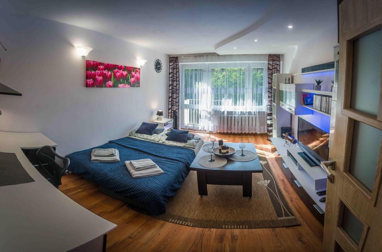 Appartamento Komfortowy Apartament Seven Niedaleko Centrum Olsztyn  Esterno foto
